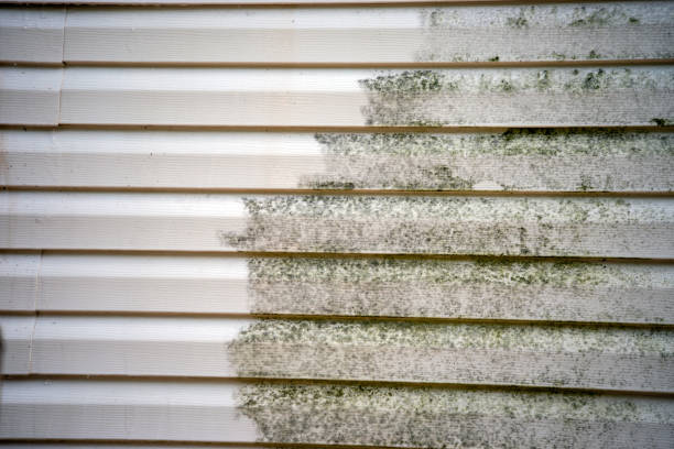 Best Property Management Cleanouts  in Scott, LA