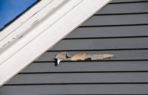 Best Demolition Debris Removal  in Scott, LA