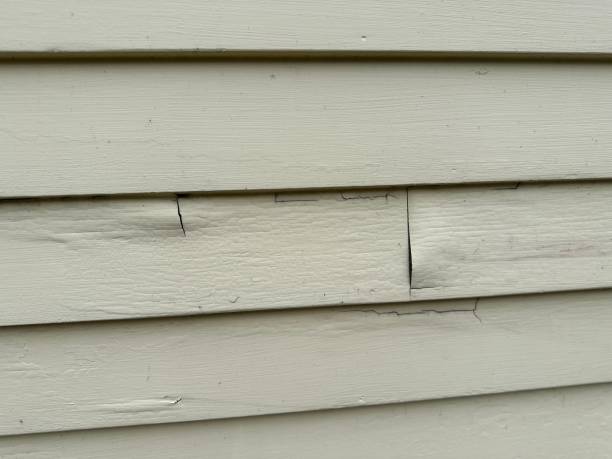 Best Same-Day Junk Removal Services  in Scott, LA